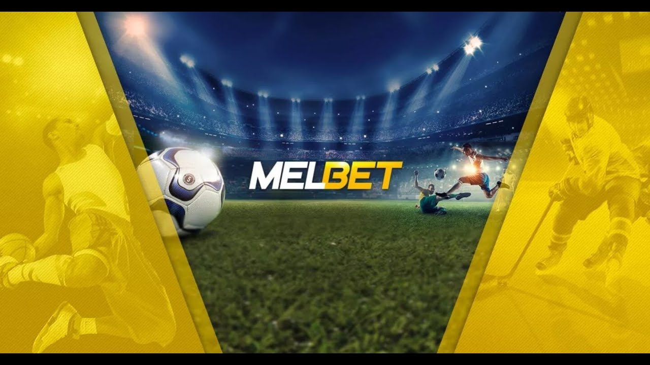 Мелбет, вид 1