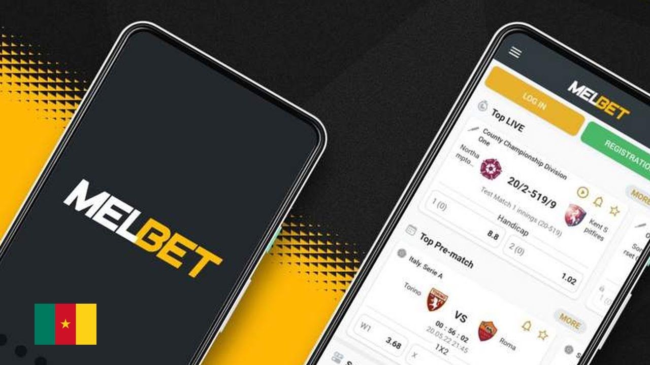 Мелбет, вид 1