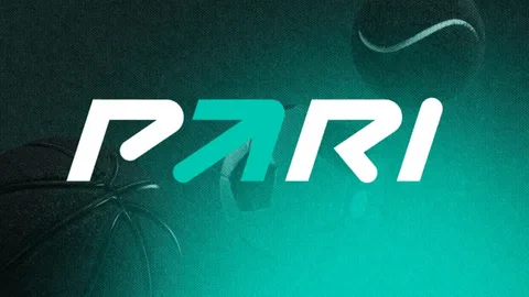 PARI, вид 2