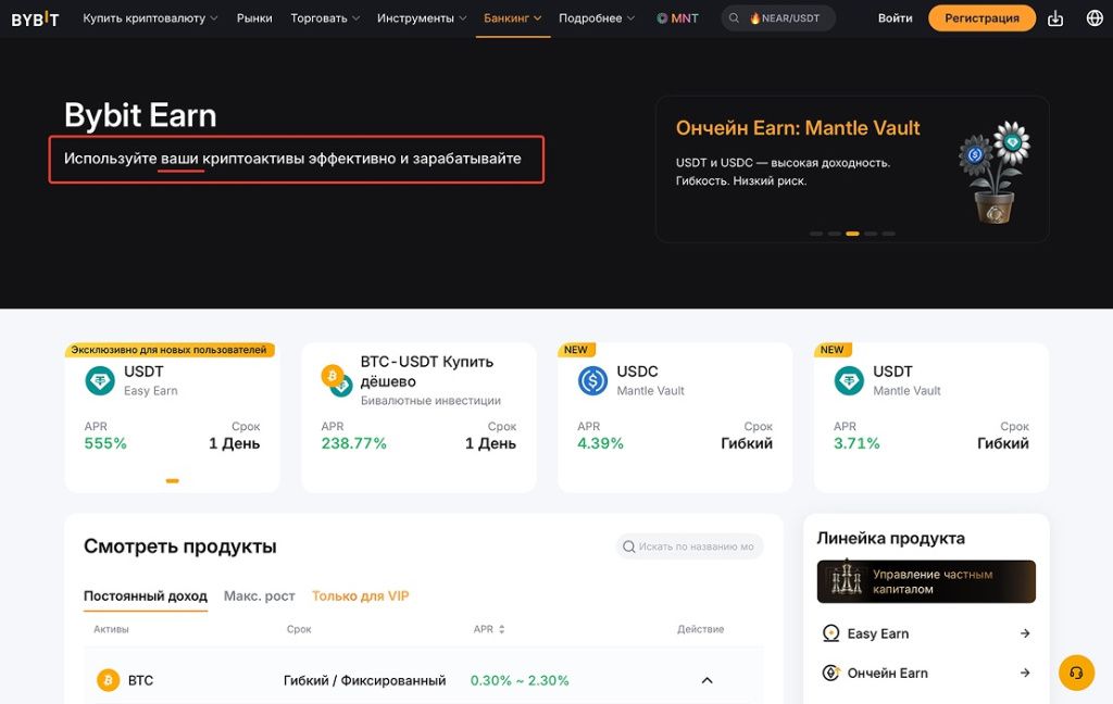 Bybit Earn