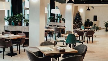 Журавли в Красногорске, вид 1