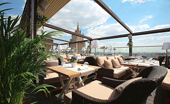 White Rabbit (Вайт Рэбит), вид 2