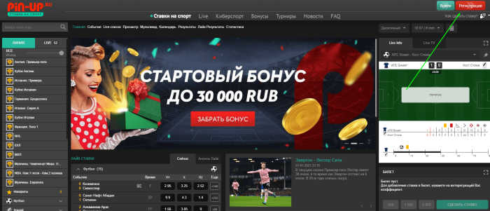 Pin‑Up Bet, вид 1