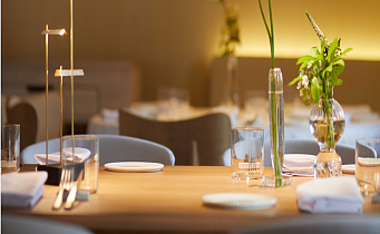 Artest (Артест), вид 2