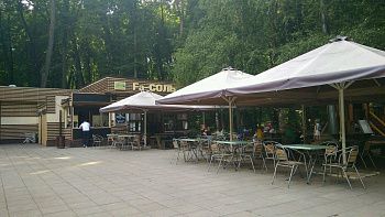 Фасоль в парке Фили, вид 3