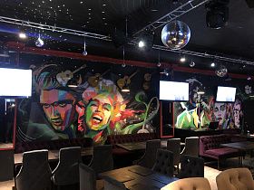 Караоке DT, вид 2