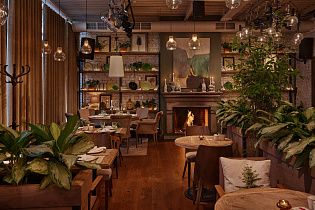 Картули, вид 2