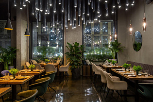 Симбиоз на Динамо, вид 1