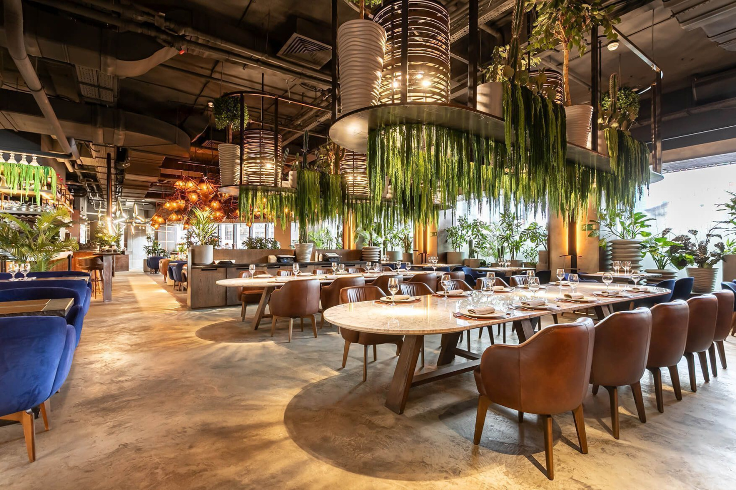 Buffalero di Mare, вид 9