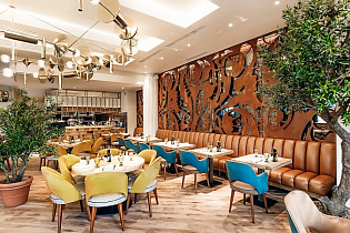 Bocconcino, вид 1