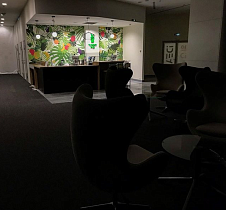 Ямми Микс, вид 2