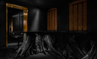 Artest (Артест), вид 3