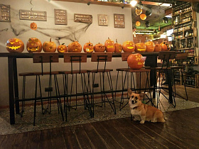 Kvak on Pokrovka, вид 3