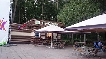 Фасоль в парке Фили, вид 2