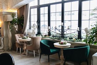 Верба, вид 1