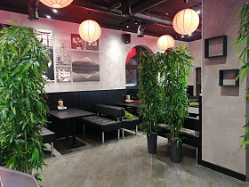 Хатимаки в Беляево, вид 1