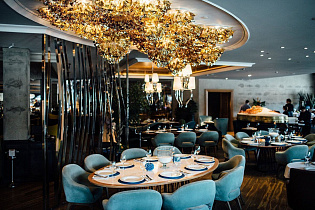 Эрвин, вид 1