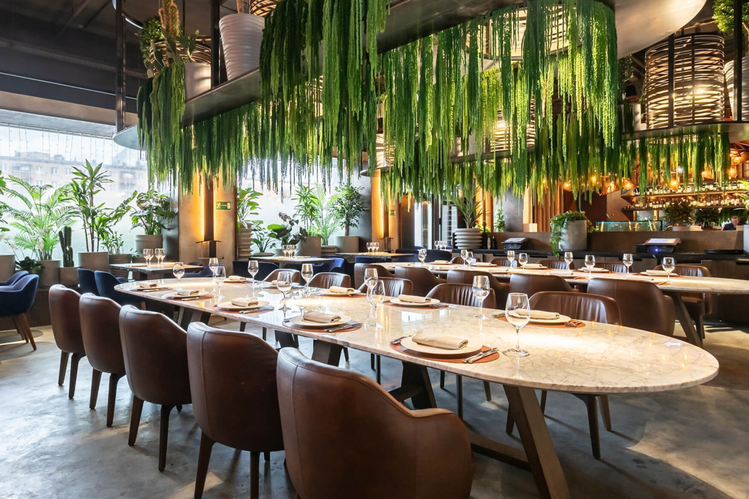 Buffalero di Mare, вид 8