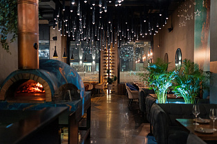 Симбиоз на Динамо, вид 3