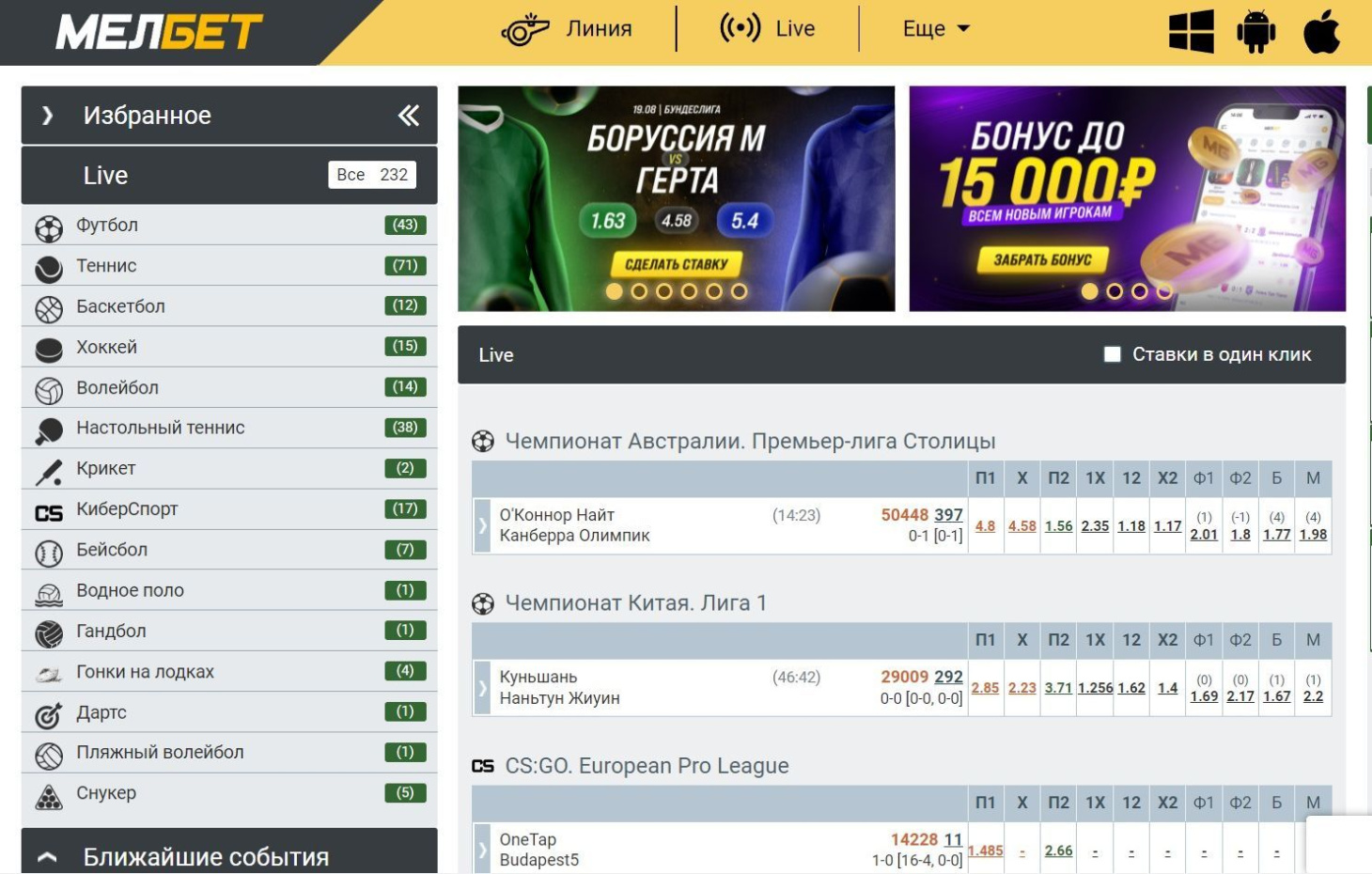 Мелбет, вид 1