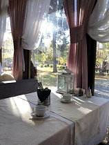 Русский чай в парке Останкино, вид 3