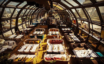 White Rabbit (Вайт Рэбит), вид 1