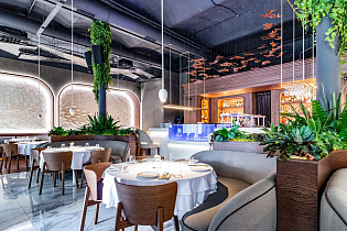 Севичерия, вид 1