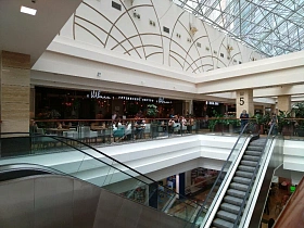 Швили, вид 2