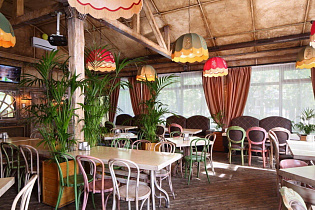 Ипполит Матвеевич, вид 1