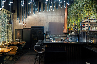 Симбиоз на Динамо, вид 2