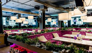 Сирень в Сокольниках, вид 1