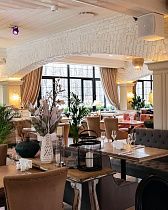 Верба, вид 2