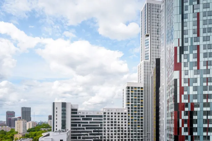 LCD 顶篷（车顶内衬）