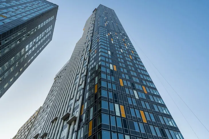 LCD 顶篷（车顶内衬）