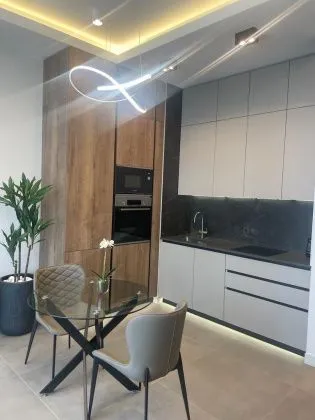 Снять апартаменты 40 м2  на 52 этаже в Neva Towers (Нева Таверc), вид 2