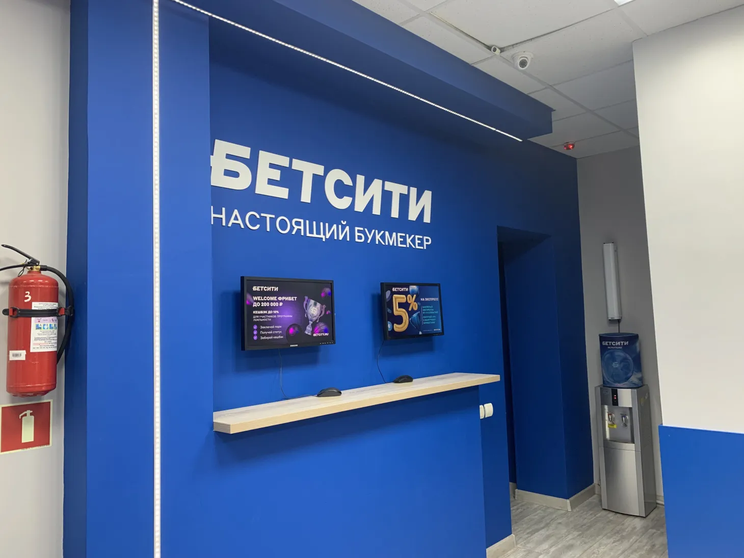 Бетсити (Betcity), вид 1