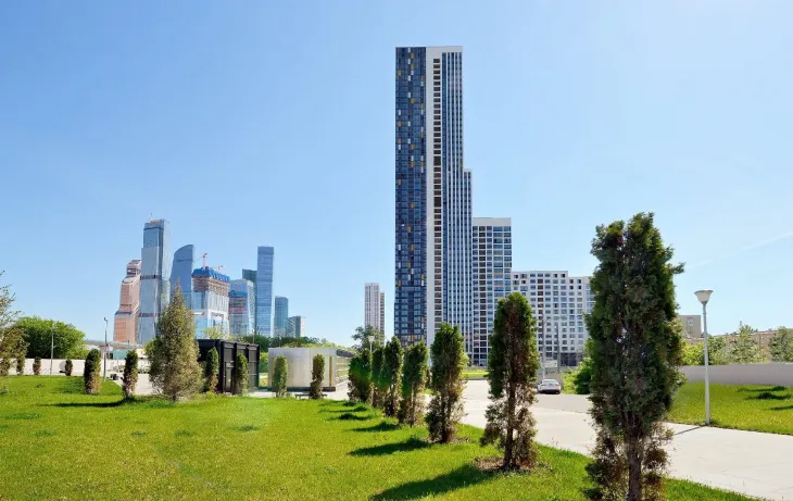 LCD 顶篷（车顶内衬）