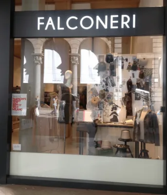 Falconeri, вид 2