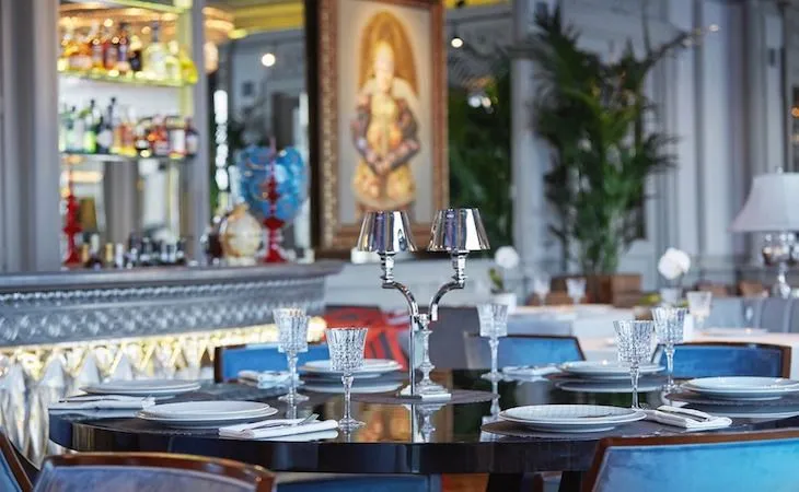 Белуга, вид 7