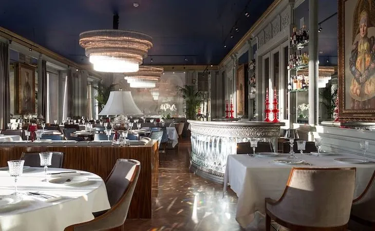 Белуга, вид 8