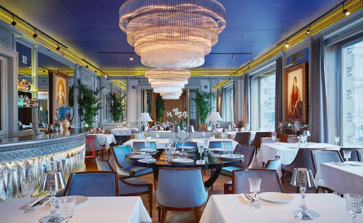 Белуга, вид 2