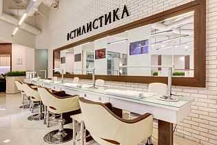 Стилистика, вид 2