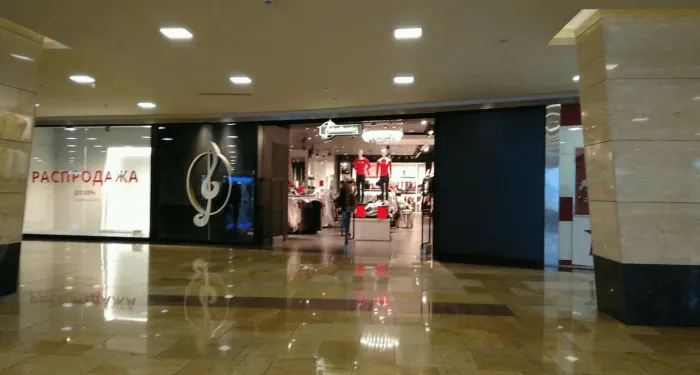 Stradivarius, вид 3