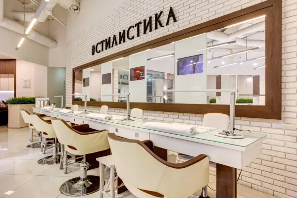 Стилистика, вид 2