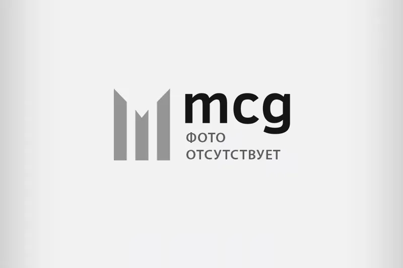 Вайн Сити